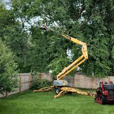 Mulching Services in Trion, GA