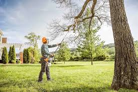 Best Lawn Disease Treatment  in Trion, GA