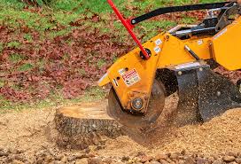 Best Seasonal Cleanup (Spring/Fall)  in Trion, GA