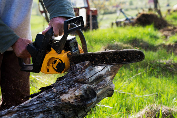 Best Tree Risk Assessment  in Trion, GA